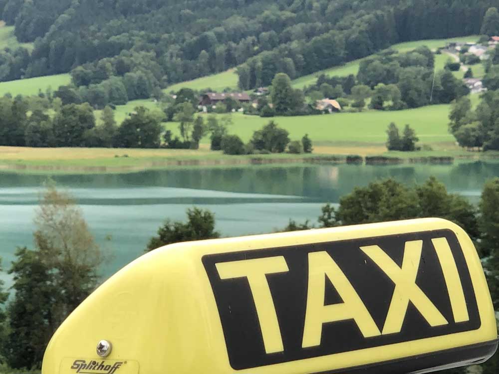 Taxi1 von Gudrun Winklhofer vor einem See im Salzkammergut