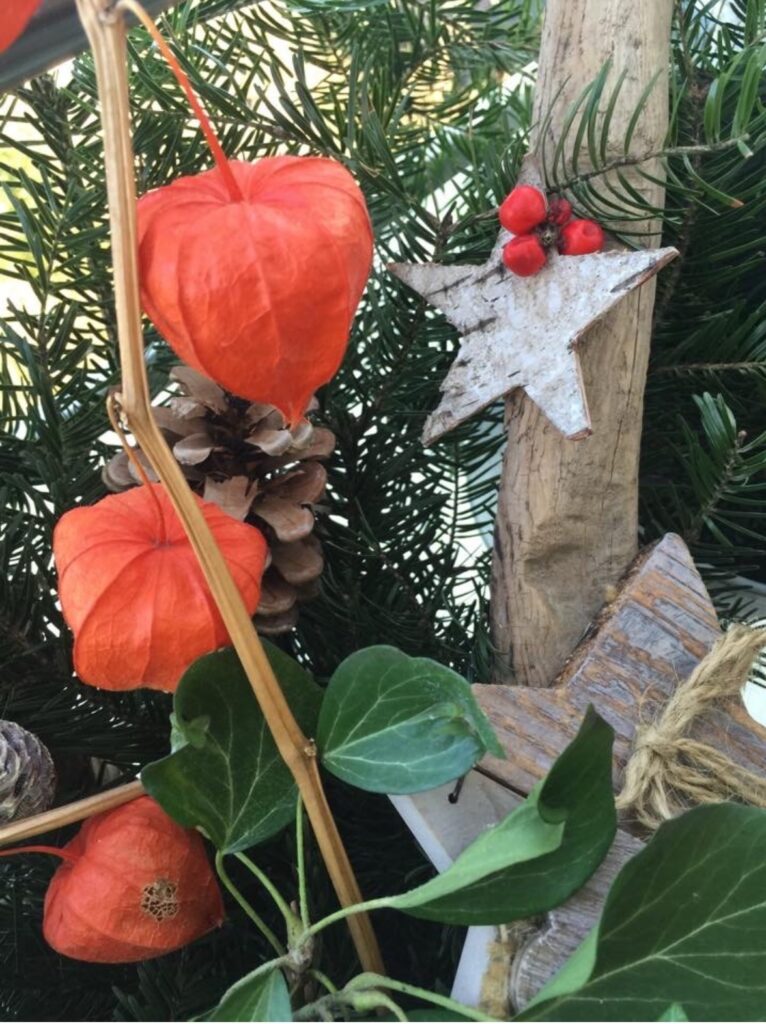 TAxifahrerin Gudrun Winklhofer in SAlzbur wünscht Frohe Weihnachten und ein glückliches neues Jahr!